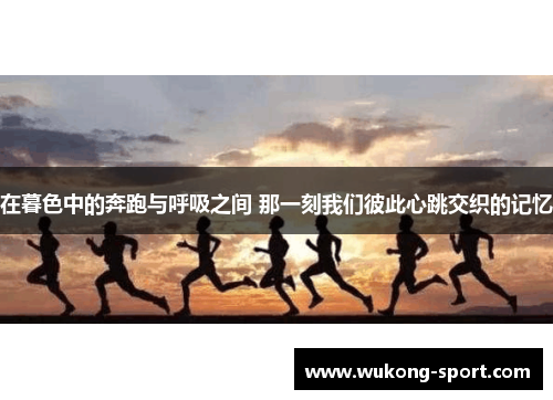 在暮色中的奔跑与呼吸之间 那一刻我们彼此心跳交织的记忆 在暮色中的奔跑与呼吸之间 那一刻我们彼此心跳交织的记忆